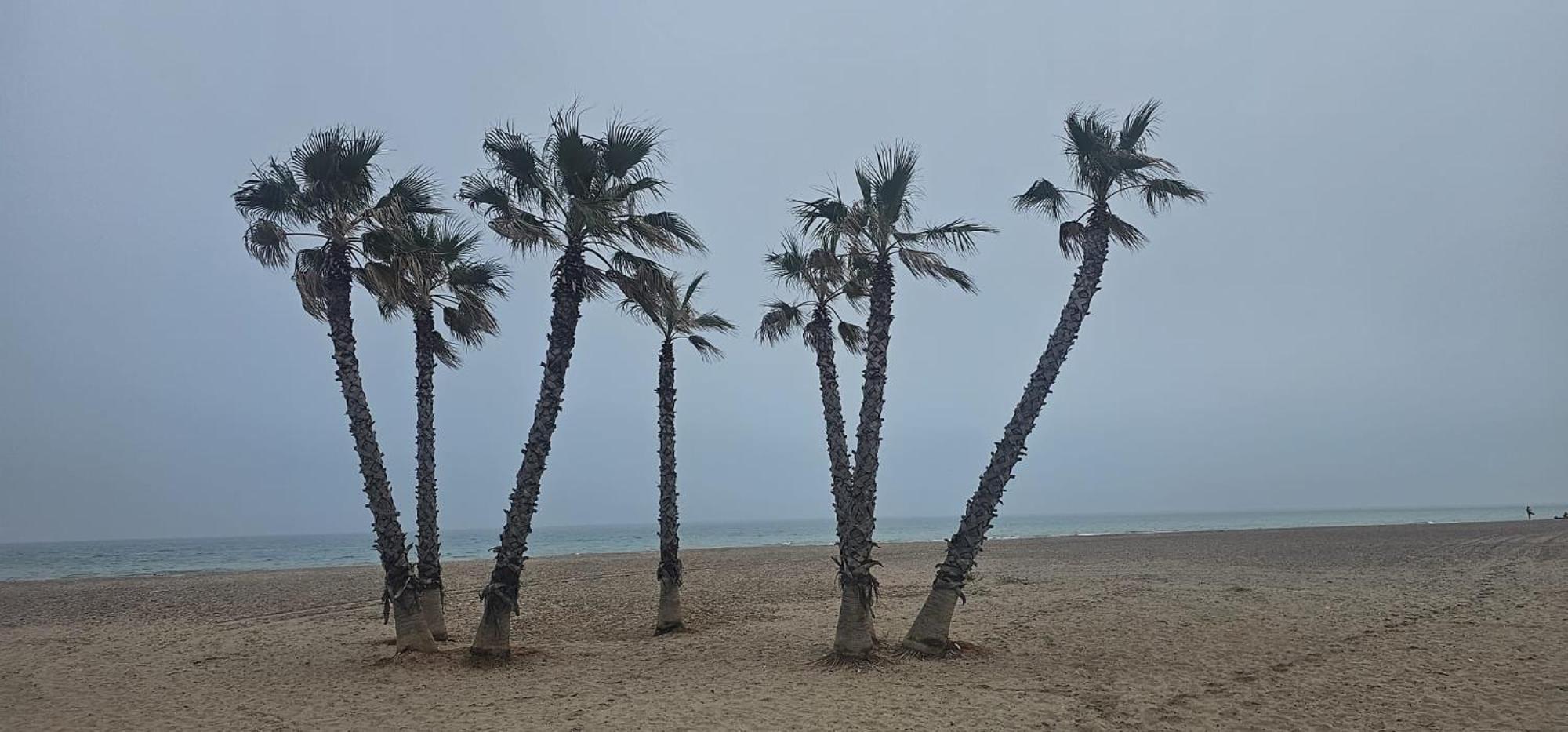 Apartamento Con Piscina Y Cerca De La Playa Canet d'En Berenguer Zewnętrze zdjęcie
